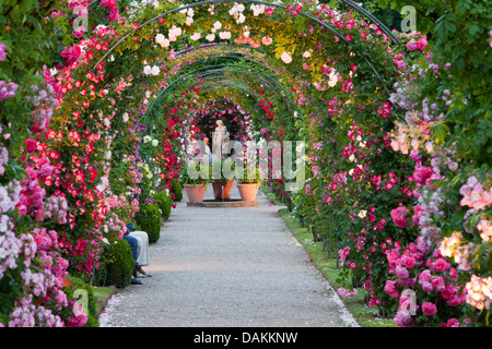 Rose ornamentali (Rosa spec.), sentiero illuminato attraverso archi di rose nel fiorito giardino di rose, Germania Foto Stock