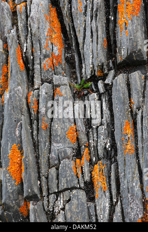 crepe nella roccia Foto Stock