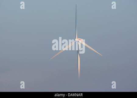 Elica di un vento che si profila ruota fuori della nebbia di mattina, Paesi Bassi Foto Stock