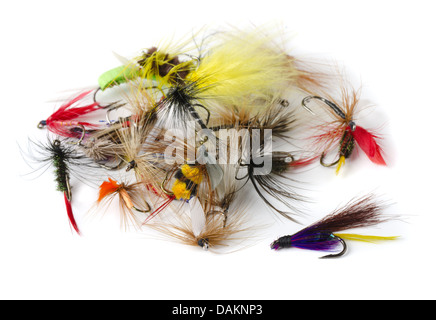 Varie fly fishing lures - ninfe, mosche secche e streamers isolato su bianco Foto Stock