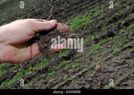 (Illustrazione) un agricoltore detiene il terreno asciutto nella sua mano in un campo secco vicino Barlohe, Germania, 09 maggio 2011. Dopo dieci settimane senza precipitazione molto parlare di, gli agricoltori in Germania del nord hanno paura di danni per le loro colture e perdite di raccolto. Foto: Carsten Rehder Foto Stock