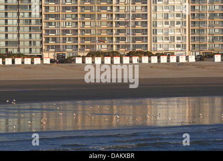 Appartamenti e cabine da spiaggia lungo la costa belga, Belgio Foto Stock