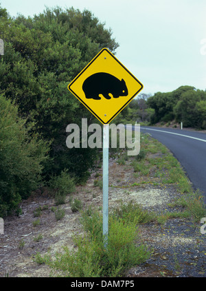 Strada segno di avvertimento per i vombati in Australia, Australia Foto Stock