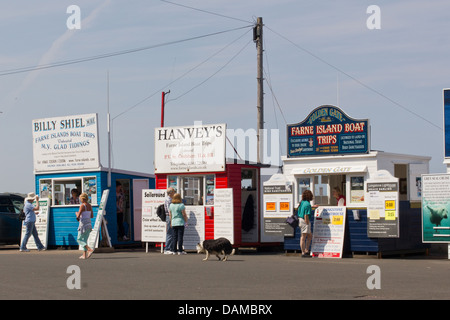 Seahouses Harbour con il biglietto cabine per gite in barca per le isole farne, Northumberland, Inghilterra Foto Stock