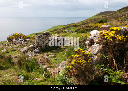 Rovine di un cotage sul clifftops a Badbea, un villaggio abbandonato sulla costa est di Caithness in Scozia Foto Stock