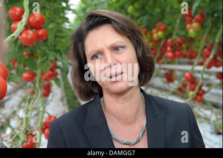 Ministro dell'Agricoltura tedesco Ilse Aigner parla agli agricoltori ad un tomatoe farm a Norimberga, Germania, 14 maggio 2011. Aigner e Soeder visitato diversi agricoltori vegetale nella regione, a causa della recente epidemia di EHEC. Foto: David Ebener Foto Stock