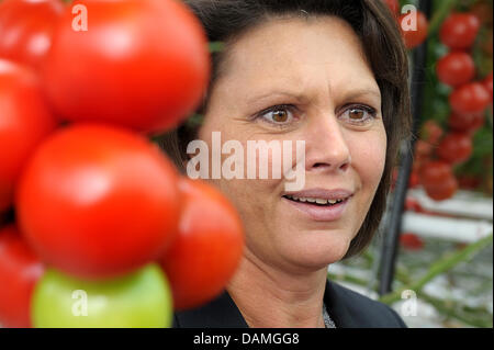 Ministro dell'Agricoltura tedesco Ilse Aigner parla agli agricoltori ad un tomatoe farm a Norimberga, Germania, 14 maggio 2011. Aigner e Soeder visitato diversi agricoltori vegetale nella regione, a causa della recente epidemia di EHEC. Foto: David Ebener Foto Stock