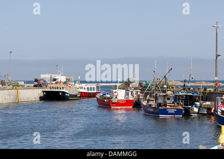 Barche da pesca con le aragoste e i granchi a Seahouses Northumberland, Inghilterra. -2013 Foto Stock