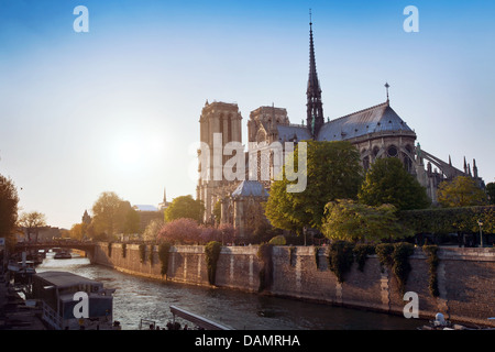 Notre Dame de Paris, Francia Foto Stock