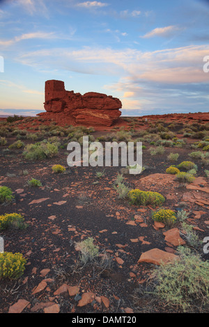 Stati Uniti d'America, Arizona Flagstaff, Wupatki National Monument, rovine preistoriche di Wukoki Pueblo abitazioni Foto Stock