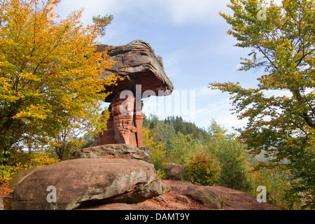 Hinterweidenthaler Teufelstisch, un 14 m alta roccia del fungo, in Germania, in Renania Palatinato, Wasgau Foto Stock