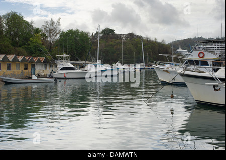 Caraibi scene : Castries,St Lucia. Whale Watch base mostra ormeggiato il lavoro e le imbarcazioni turistiche Foto Stock