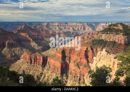 Stati Uniti d'America, Arizona Grand Canyon National Park, North Rim, Bright Angel Point Foto Stock