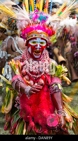 Woman Dancing con la sua faccia dipinta, indossare le conchiglie e le pelli degli animali, Goroka Show, Papua Nuova Guinea Foto Stock