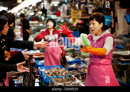 I fornitori a lavorare al Noryangjin Mercato del Pesce a Seul, Repubblica Popolare Democratica di Corea, Asia. Foto Stock