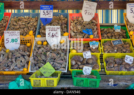 Booth con ostriche nel porto di Cancale, Bretagna Francia Foto Stock