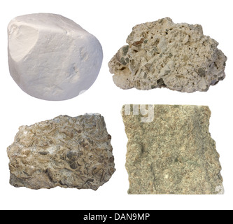 Collage di calcare (chalk, tufo, fossiliferi di calcare, grainstone) Foto Stock