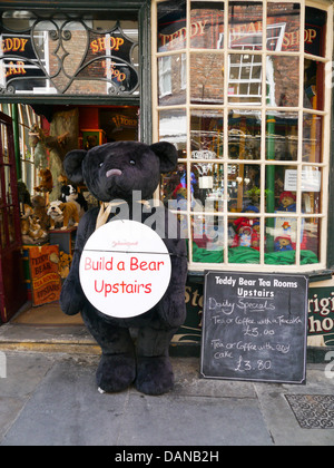 Orsacchiotto di peluche Shop, York, Inghilterra Foto Stock