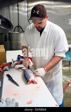 Lavoratore pulisce freschi Salmone rosso dal fiume di rame, Nuova Sagaya del mercato di Midtown, Anchorage, Alaska, STATI UNITI D'AMERICA Foto Stock