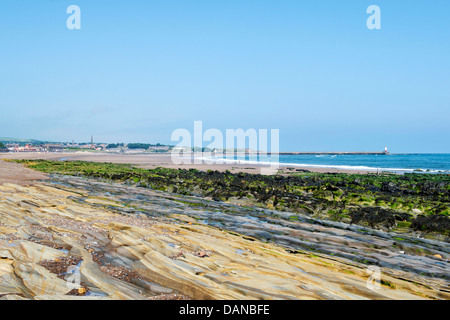 Spittal spiaggia di roccia arenaria strati. Spittal, Berwick upon Tweed, Northumberland, Inghilterra Foto Stock