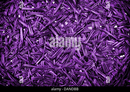 Texture di essiccato giacinto di acqua Foto Stock