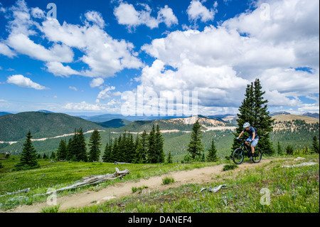 Mountain Biker sul Monarca Crest Trail, Central Colorado, STATI UNITI D'AMERICA Foto Stock