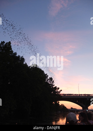 Austin pipistrelli tramonto ponte Texas Foto Stock