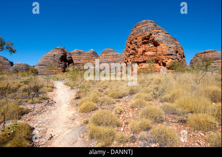 Escursioni a piedi dal parcheggio Piccaninny alla Cattedrale Gorge, passando le cupole di arenaria di Purmululu (Bungle-Bungles), Kimberley Foto Stock