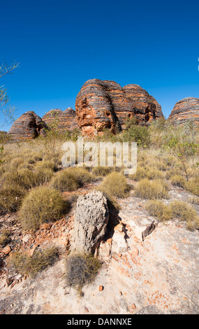 Escursioni a piedi dal parcheggio Piccaninny alla Cattedrale Gorge, passando le cupole di arenaria di Purmululu (Bungle-Bungles), Kimberley Foto Stock