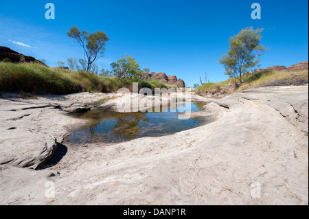 Escursioni a piedi dal parcheggio Piccaninny alla Cattedrale Gorge, passando le cupole di arenaria di Purmululu (Bungle-Bungles), Kimberley Foto Stock