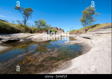 Escursioni a piedi dal parcheggio Piccaninny alla Cattedrale Gorge, passando le cupole di arenaria di Purmululu (Bungle-Bungles), Kimberley Foto Stock