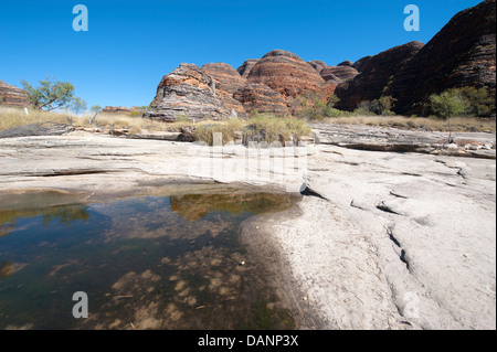 Escursioni a piedi dal parcheggio Piccaninny alla Cattedrale Gorge, passando le cupole di arenaria di Purmululu (Bungle-Bungles), Kimberley Foto Stock