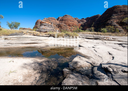 Escursioni a piedi dal parcheggio Piccaninny alla Cattedrale Gorge, passando le cupole di arenaria di Purmululu (Bungle-Bungles), Kimberley Foto Stock