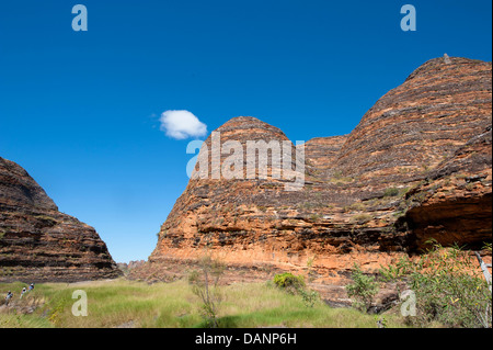 Escursioni a piedi dal parcheggio Piccaninny alla Cattedrale Gorge, passando le cupole di arenaria di Purmululu (Bungle-Bungles), Kimberley Foto Stock