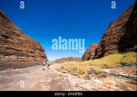 Escursioni dal Piccaninny Parking alla Cattedrale Gorge, passando le cupole di pietra arenaria di Purnululu (giungla), Kimberley Foto Stock