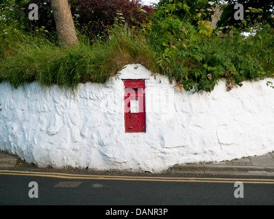 Red Royal Mail postbox incorporato in un dipinto di bianco muro di pietra St. David's Pembrokeshire Wales UK Foto Stock