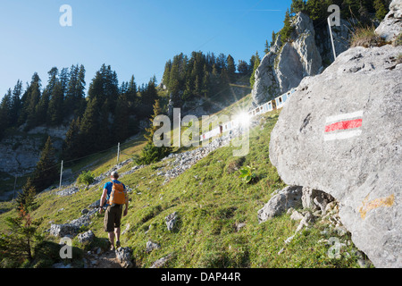 Europa, alpi svizzere, Svizzera Oberland Bernese, Unesco, escursionista su Schynige Platte (MR) Foto Stock