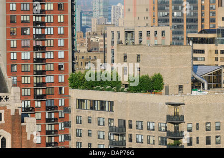 Vista della città di New York - Windows di skyscapers e residenziale e edifici per uffici sono ritratte in Manhattan, New York, Stati Uniti d'America, 13 luglio 2011. Foto: Soeren Stache Foto Stock