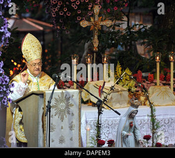 Il Patriarca Latino di Gerusalemme Fouad Twal, ministri al luogo di pellegrinaggio Maria Vesperbild vicino Ziemetshausen, Germania, 15 agosto 2011. Assunzione della Vergine Maria è un giorno festivo in Baviera e nella Saar e celebrata il 15 agosto 2011. Foto: Stefan Puchner Foto Stock