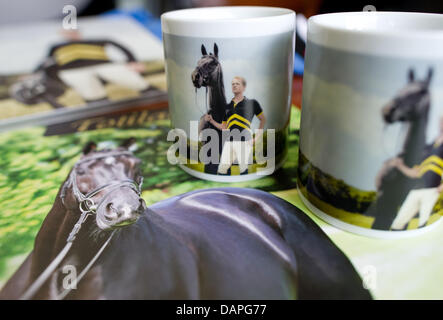 Le tazze e i poster con il cavallo Totilas e il suo pilota Matthias Alexander Rath sono illustrati durante il European Dressage Championships di Rotterdam, Paesi Bassi, 19 agosto 2011. Concorsi individuali avrà luogo il 20 agosto. Foto: Uwe Anspach Foto Stock