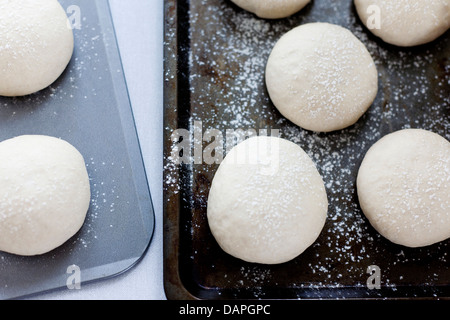 Pre-pasta cotta, per croccanti panini bianchi, su vassoi prima di essere cotti al forno. Foto Stock