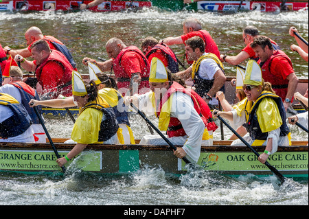 Il 2013 'Guida per degli eroi della carità gara di dragon boat organizzata dal Rotary Club di York. Fancy Dress equipaggi squadre equipaggio del team Foto Stock