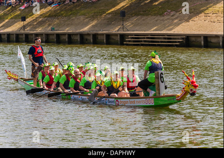 Il 2013 'Guida per degli eroi della carità gara di dragon boat organizzata dal Rotary Club di York equipaggio del team fancy dress carità evento Foto Stock