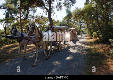 Turchia, Istanbul, turistici che viaggiano in carrozze trainate da cavalli a Buyukada Foto Stock