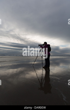 Città di Harlech, Galles. Signora fotografo utilizzando un treppiede mentre a fotografare un tramonto sulla spiaggia a Harlech. Foto Stock