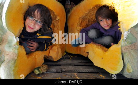 FILE - Un archivio foto datata 18 settembre 2010 mostra due ragazzi dentro un inverno squash, che ha più di 400 kg in Boerssum, Germania. Per la settima volta Boerssum cercherà per la zucca più grande durante la zucca festival il 17 e 18 settembre 2011. Foto: Jochen Luebke Foto Stock