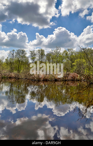 Breney comune; Wildlife Trust Reserve; Cornovaglia; Regno Unito Foto Stock