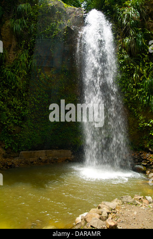 Diamond Falls, St Lucia Foto Stock