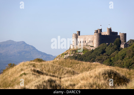 Città di Harlech, Galles. Le dune di sabbia della spiaggia di Harlech con Harlech Castle e il Parco Nazionale di Snowdonia in background. Foto Stock