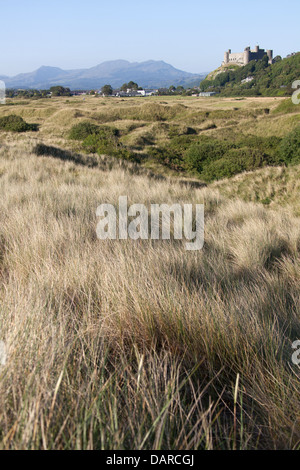 Città di Harlech, Galles. Le dune di sabbia della spiaggia di Harlech con Harlech Castle e il Parco Nazionale di Snowdonia in background. Foto Stock